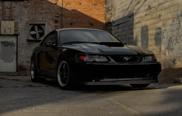 Picture Mustang, Black, 2004