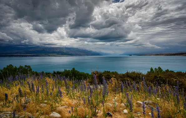 Field, summer, the sky, flowers, mountains, clouds, lake, stones