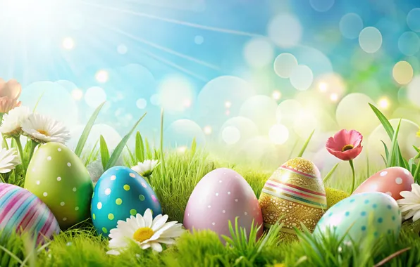 Flowers, eggs, spring, colorful, Easter, happy, flowers, spring