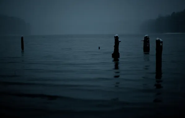 Water, landscape, night, photo