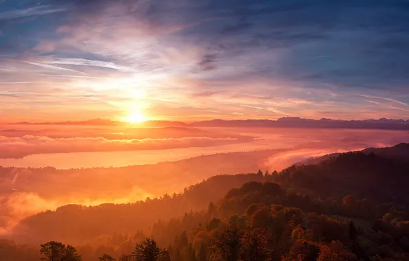 Picture forest, the sun, clouds, fog, river, dawn, hills