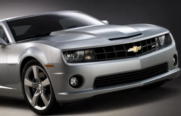 Grey, Chevrolet, camaro, chevrolet, Chevrolet Camaro, Camaro, Chevrolet