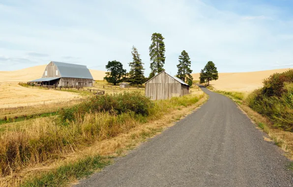 Road, field, summer, home