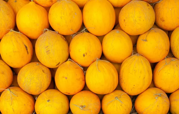 Yellow, harvest, a lot, melon, melon