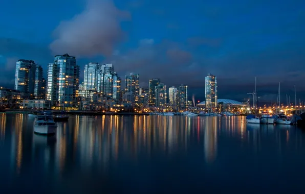 Picture night, the city, shore