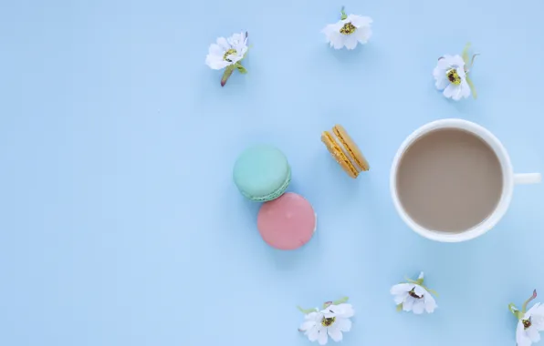 Flowers, coffee, Flowers, Coffee, Macarons