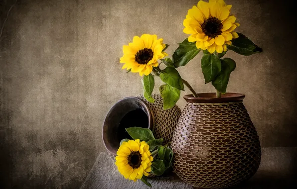Wallpaper leaves, petals, pitcher, still life