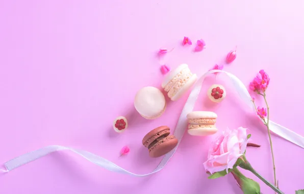 Flowers, the sweetness, roses, tape, cake, cakes, macaroon