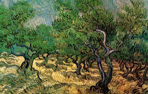 Trees, Vincent van Gogh, Olive Grove 2