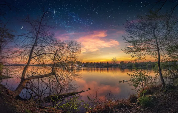 Picture the sky, stars, trees, reflection, river