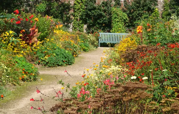 Grass, the sun, flowers, bench, garden, shop, track, the bushes