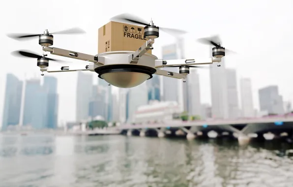 Picture project, drone, delivery