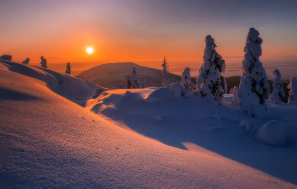 Picture winter, snow, trees, sunset, mountain, the snow, Russia, Murmansk oblast