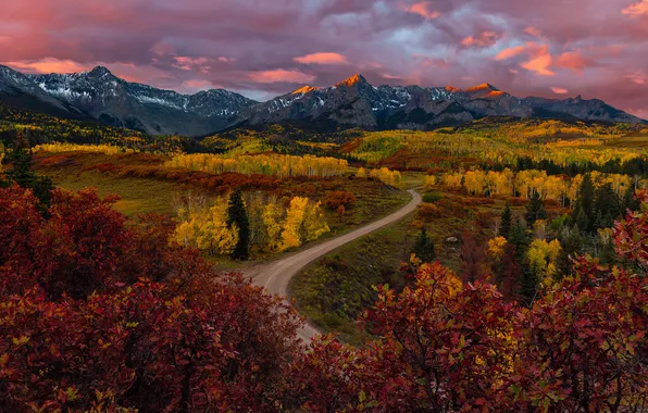 Road, field, autumn, forest, clouds, trees, mountains, foliage