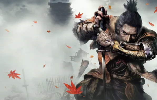 Leaves, fog, the game, Japan, wolf, sword, sword, art