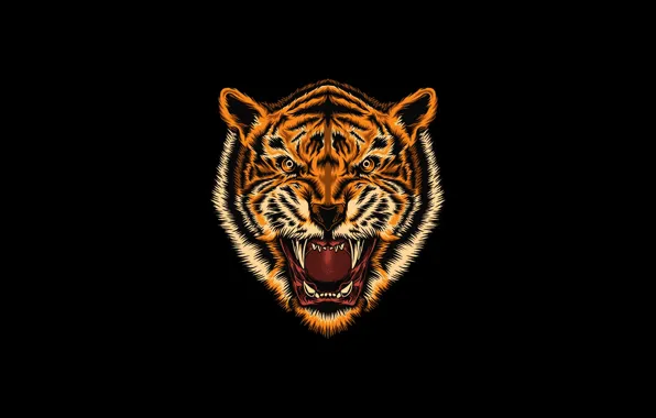 Minimalism, Figure, Tiger, Style, Background, Art, Art, Style