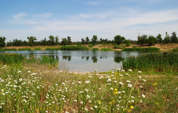 Picture nature, Severodonetsk, lake Park