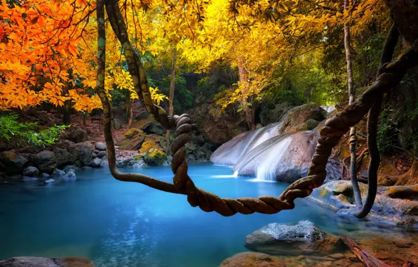 Forest, leaves, trees, branches, tropics, stream, stones, waterfall