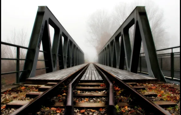 Bridge, Trees, Leaves, Railroad, Rails, Fog.