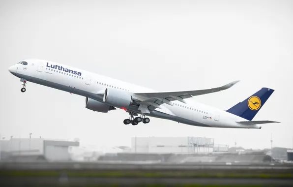 The plane, Board, The rise, Lufthansa, Airbus, A350, XWB, A350-900