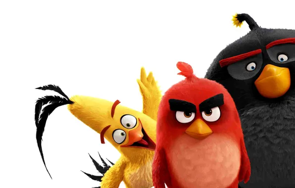 Red, game, birds, film, pose, friends, animated, angry