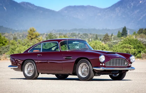 Picture trees, mountains, Aston Martin, classic, rarity, 1958, DB4
