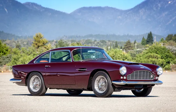 Trees, mountains, Aston Martin, classic, rarity, 1958, DB4