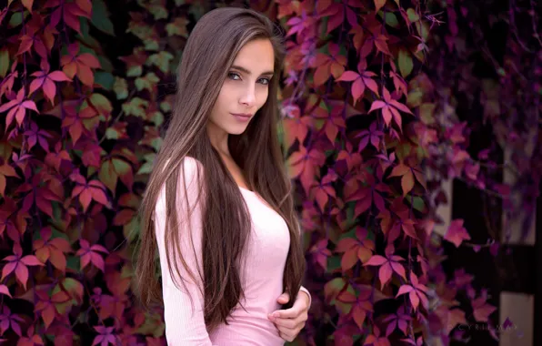 Leaves, branches, background, model, portrait, brown hair, beauty, bokeh