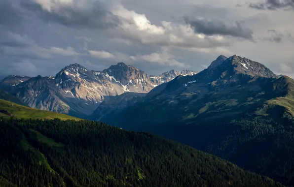Forest, the sky, clouds, light, mountains, fog, hills, the slopes
