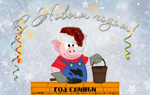 Hat, pig, pig, calendar for 2019