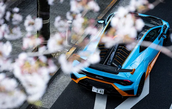 Lamborghini, Huracan, Hurricane, BE, Lamborghini Huracán STO