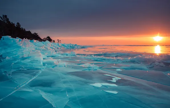 Picture ice, forest, the sky, the sun, landscape, sunset, nature, horizon