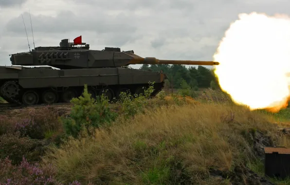 Picture fire, shot, tank, leopard 2a6
