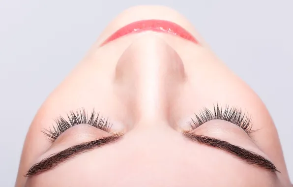Eyelashes, eyebrows, make up