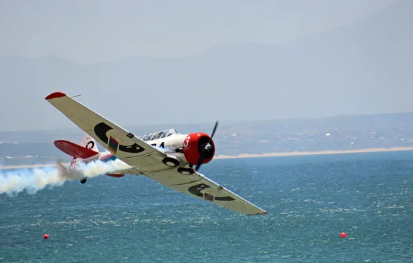 Sea, Japanese, The plane