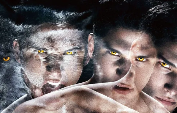 Look, the series, guy, werewolf, Teen wolf, The cub, Scott