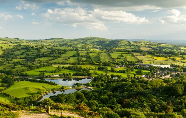 Greens, field, the sky, clouds, trees, hills, meadow, panorama
