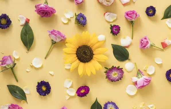 Flowers, yellow, background, roses, petals, buds, flowers