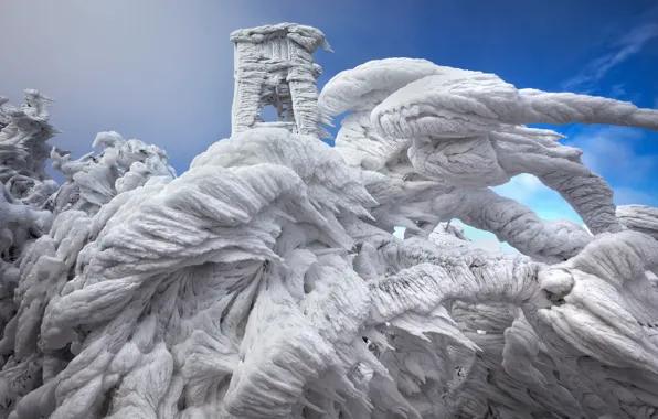 Winter, the sky, snow, branches, blue, lighthouse, ice, icicles