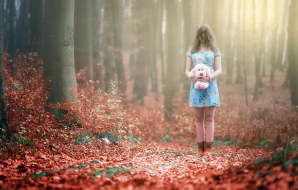 Autumn, forest, toy, girl