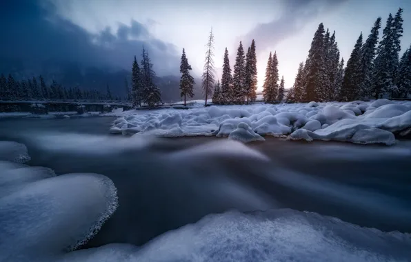 Picture winter, snow, trees, landscape, mountains, nature, fog, river