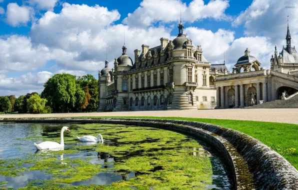 Summer, pond, castle, France, swans, Palace, French, Chantilly castle