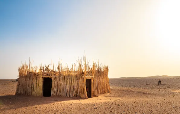 Nature, desert, hut, Morocco, the Western Sahara Desert