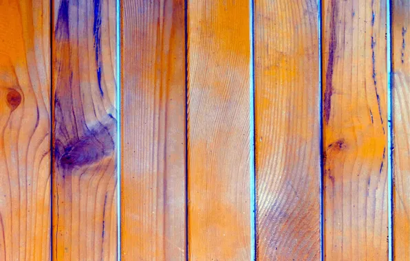 Color, tree, texture