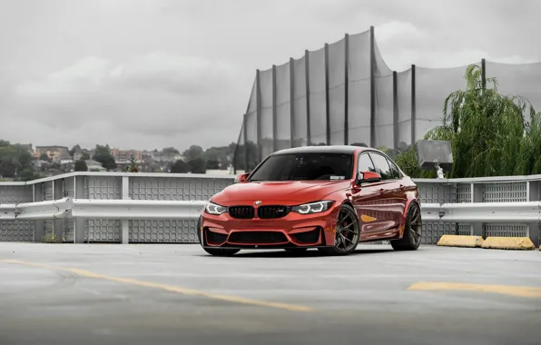 Picture BMW, Predator, RED, Roof, F80, Sight