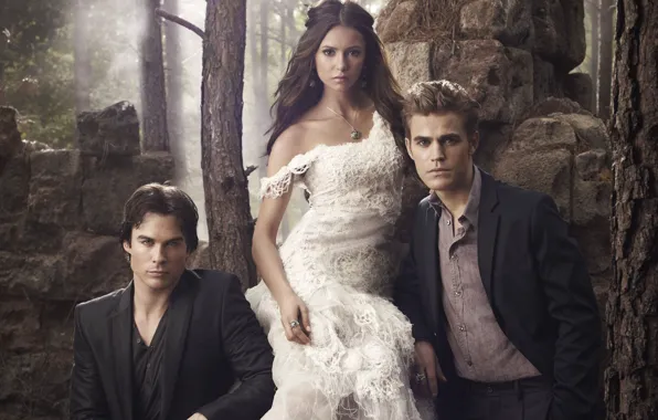 Picture the vampire diaries, Stefan, Elena, Season 2, Damon