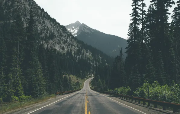 Picture road, forest, trees, mountains, ate, pine