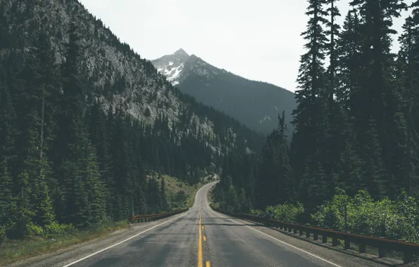 Road, forest, trees, mountains, ate, pine