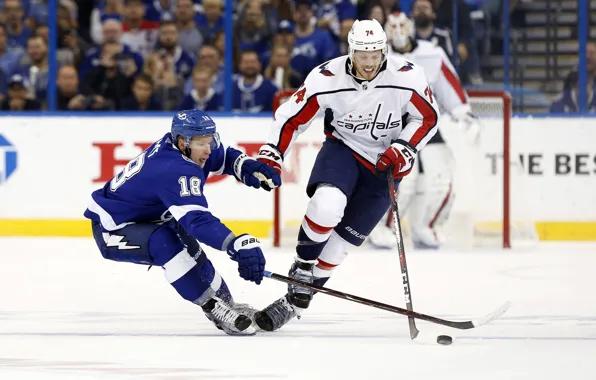 The game, Sport, Carlson, Ice, Washington, Zipper, Ice, Lightning