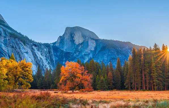 Autumn, forest, the sky, the sun, rays, mountains, nature, CA